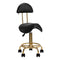 Zadelkrukken & Werkstoelen