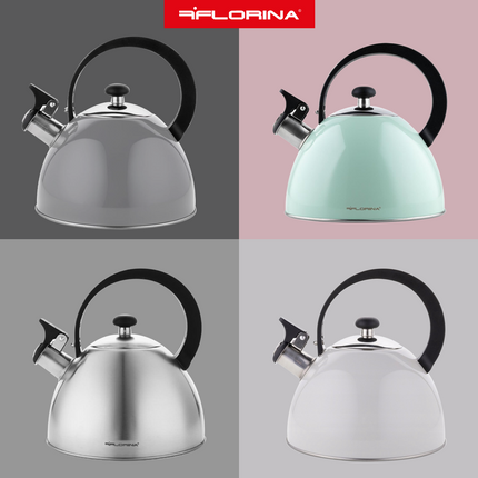 Florina Brillo fluitketel geborsteld RVS zilver 2.5 Liter - ook geschikt voor inductie