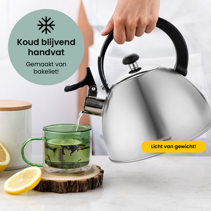 Florina Brillo fluitketel geborsteld RVS zilver 2.5 Liter - ook geschikt voor inductie