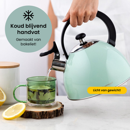 2de kansje Florina Brillo fluitketel RVS mint groen 2.5 Liter