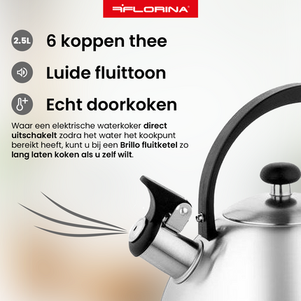 Florina Brillo fluitketel geborsteld RVS zilver 2.5 Liter - ook geschikt voor inductie