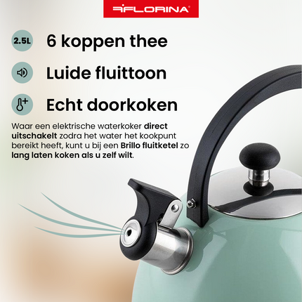 2de kansje Florina Brillo fluitketel RVS mint groen 2.5 Liter - ook geschikt voor inductie