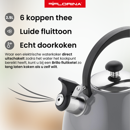 Florina Brillo fluitketel RVS donkergrijs 2.5 Liter - ook geschikt voor inductie