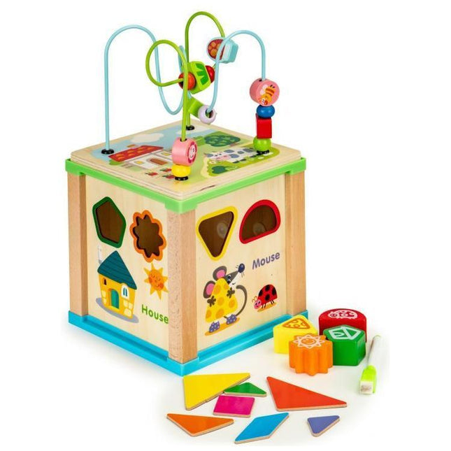 Ecotoys duurzame houten educatieve activiteiten kubus met bord om te schrijven