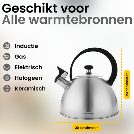 Florina Brillo fluitketel geborsteld RVS zilver 2.5 Liter - ook geschikt voor inductie
