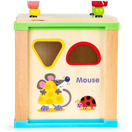 Ecotoys duurzame houten educatieve activiteiten kubus met bord om te schrijven