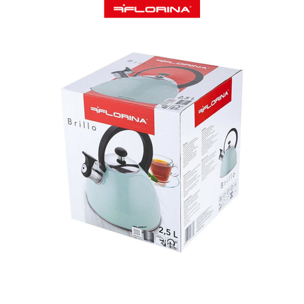 2de kansje Florina Brillo fluitketel RVS mint groen 2.5 Liter