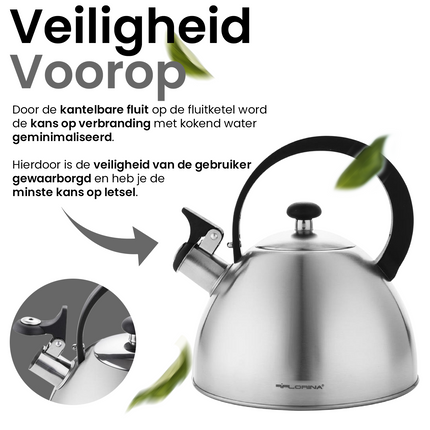 Florina Brillo fluitketel geborsteld RVS zilver 2.5 Liter - ook geschikt voor inductie