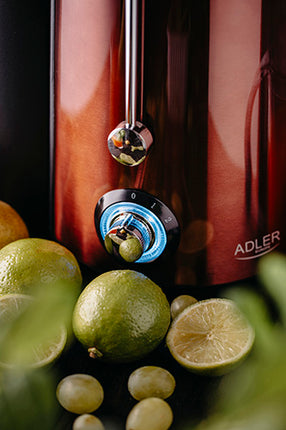 Adler AD 4129 Sapcentrifuge – 2000W Juicer voor Groente & Fruit – 75 mm Vulopening – 1L Sapkan
