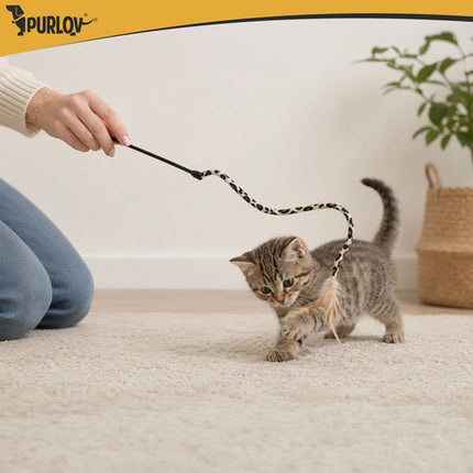 Katten Speelgoedset 24-delig XXL – Kattentunnel 80 cm – Hengel – Speelballen – Speelmuizen – Interactief Kattenspeelgoed