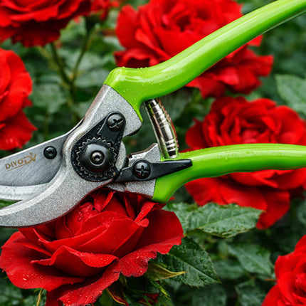 Snoeischaar voor Planten en Struiken – Tuinschaar – Snoeischaar voor Verse Takken – Ergonomische Handgreep – 22 cm