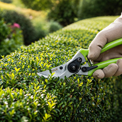 Snoeischaar voor Planten en Struiken – Tuinschaar – Snoeischaar voor Verse Takken – Ergonomische Handgreep – 22 cm