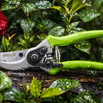 Snoeischaar voor Planten en Struiken – Tuinschaar – Snoeischaar voor Verse Takken – Ergonomische Handgreep – 22 cm