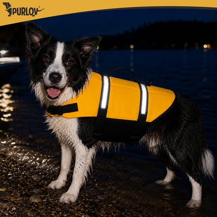Reddingsvest Hond L – Honden Zwemvest 10-20 kg – Veiligheidsvest voor Honden – Reflecterend – Geel
