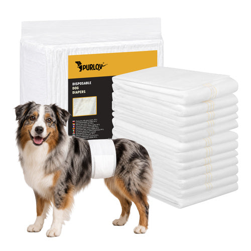 Honden Luier voor Reuen L 12 Stuks – Wegwerpluiers voor Reu – Buikband – Incontinentie – Buikomvang 45-60 cm