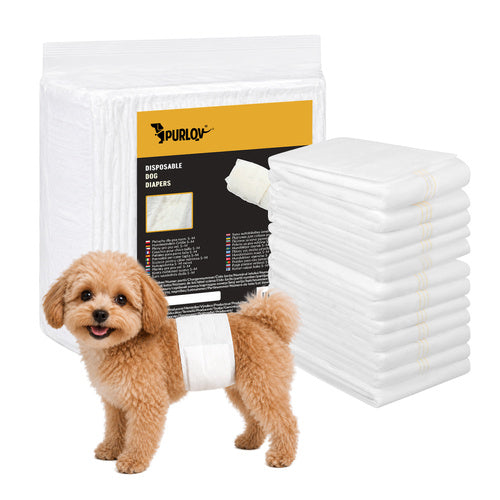 Honden Luier voor Reuen M 12 Stuks – Wegwerpluiers voor Reu – Buikband – Incontinentie – Buikomvang 30-46 cm