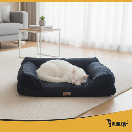 Orthopedische Hondenmand S 65 x 55 cm – Ergonomisch Hondenbed met Traagschuim – Wasbare Hoes – Antislip – Zwart