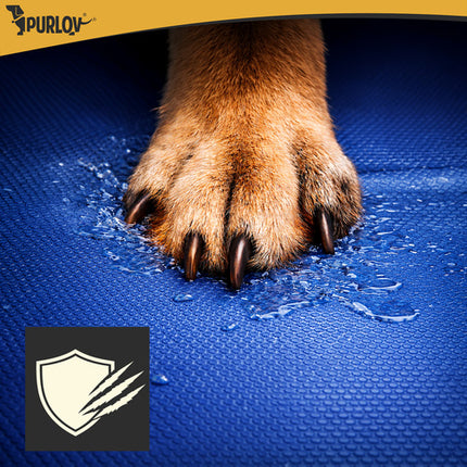 Hondenzwembad Opvouwbaar 160 x 30 cm – Groot Antislip Koelbad voor Honden – 600 Liter – Opvouwbaar Hondenbad