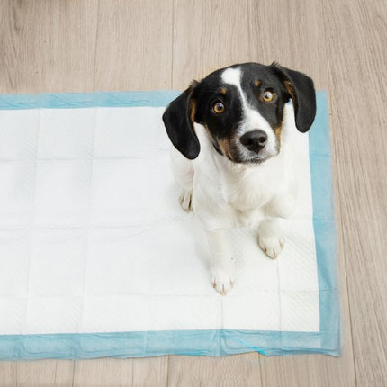 Puppy Trainingspads 100 Stuks 60 x 40 cm – Puppy Onderleggers – Zindelijkheidstraining – Absorberende Puppy Pads – Inclusief 30 Poepzakjes