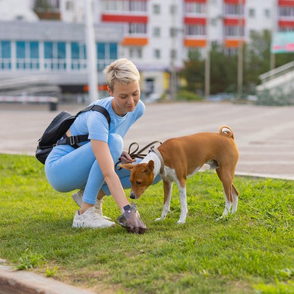 Puppy Trainingspads 100 Stuks 60 x 40 cm – Puppy Onderleggers – Zindelijkheidstraining – Absorberende Puppy Pads – Inclusief 30 Poepzakjes