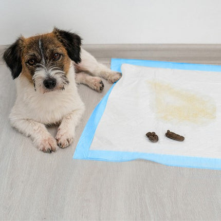 Puppy Trainingspads 100 Stuks 60 x 60 cm – Puppy Onderleggers – Zindelijkheidstraining – Absorberende Puppy Pads – Inclusief 30 Poepzakjes