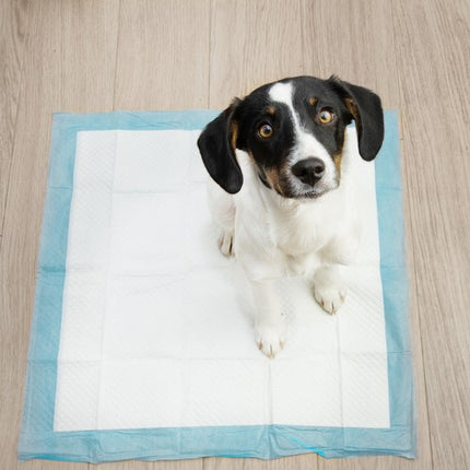 Puppy Trainingspads 100 Stuks 60 x 60 cm – Puppy Onderleggers – Zindelijkheidstraining – Absorberende Puppy Pads – Inclusief 30 Poepzakjes