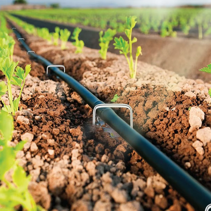 Grondpennen 10 Stuks 15 cm – Grondankers voor Antiworteldoek, Onkruiddoek, Worteldoek en Agrotextiel – Metalen U-Pinnen