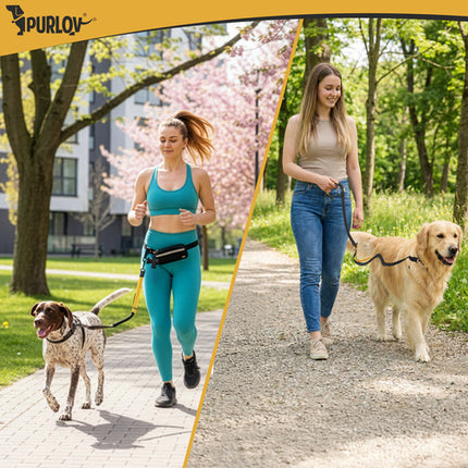 Handsfree Hondenriem met Heupgordel – Schokdempende Hondenriem – Reflecterend – Tot 50 kg – Heuptas – Zwart/Geel