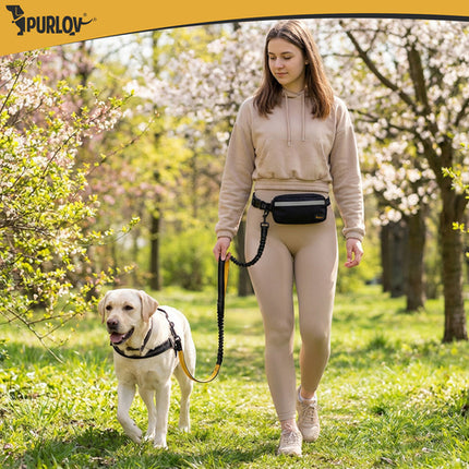 Handsfree Hondenriem met Heupgordel – Schokdempende Hondenriem – Reflecterend – Tot 50 kg – Heuptas – Zwart/Geel
