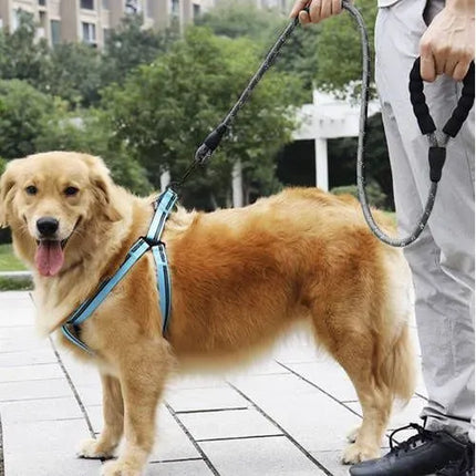 Trainingslijn Hond 5 Meter – Reflecterende Hondenriem – 12 mm Dik Touw – Zwart