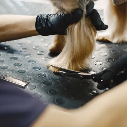 Hondenschaar Set – 3 Trim- & Effileerscharen met Kam – 8-delige Honden Trimset met Etui