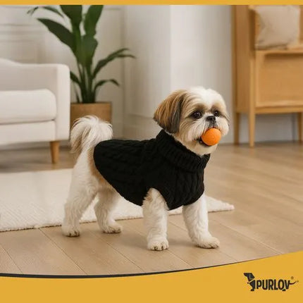 Hondentrui Maat L – Warme Gebreide Wintertrui met Col – Voor Hond & Kat