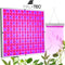 LED verlichting